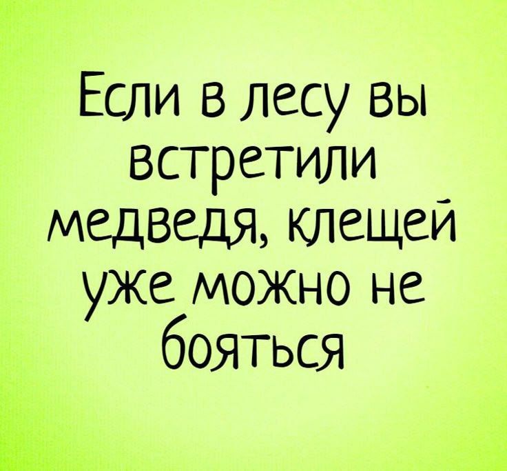 Если в лесу вы встретили медведя, клещей уже можно не бояться