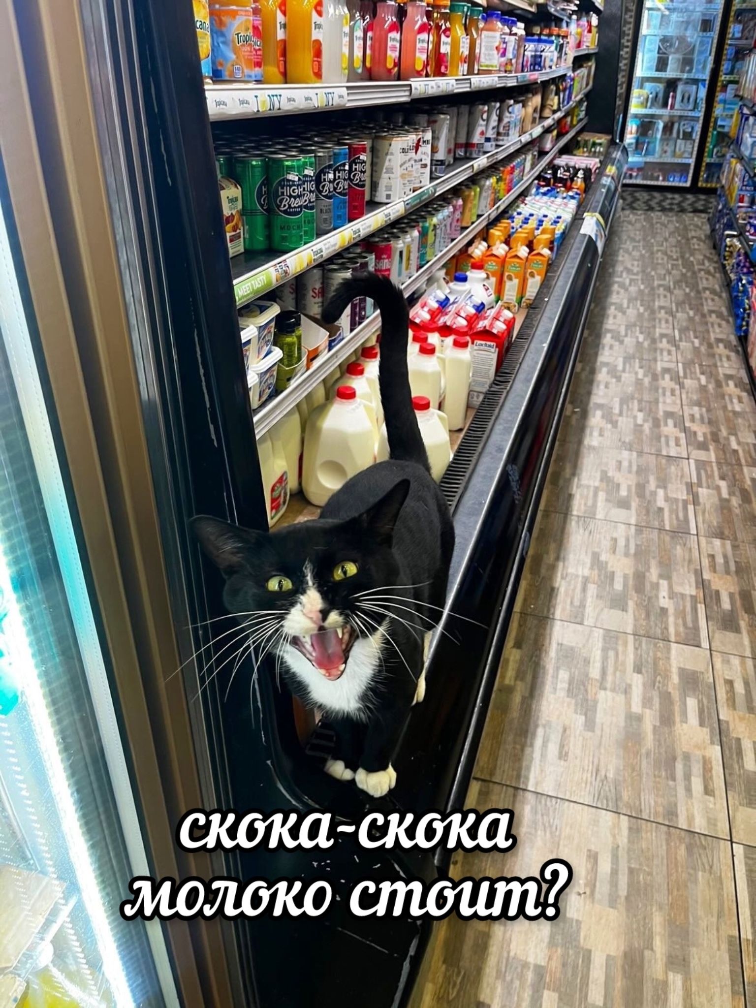 скока-скока молоко стоит?