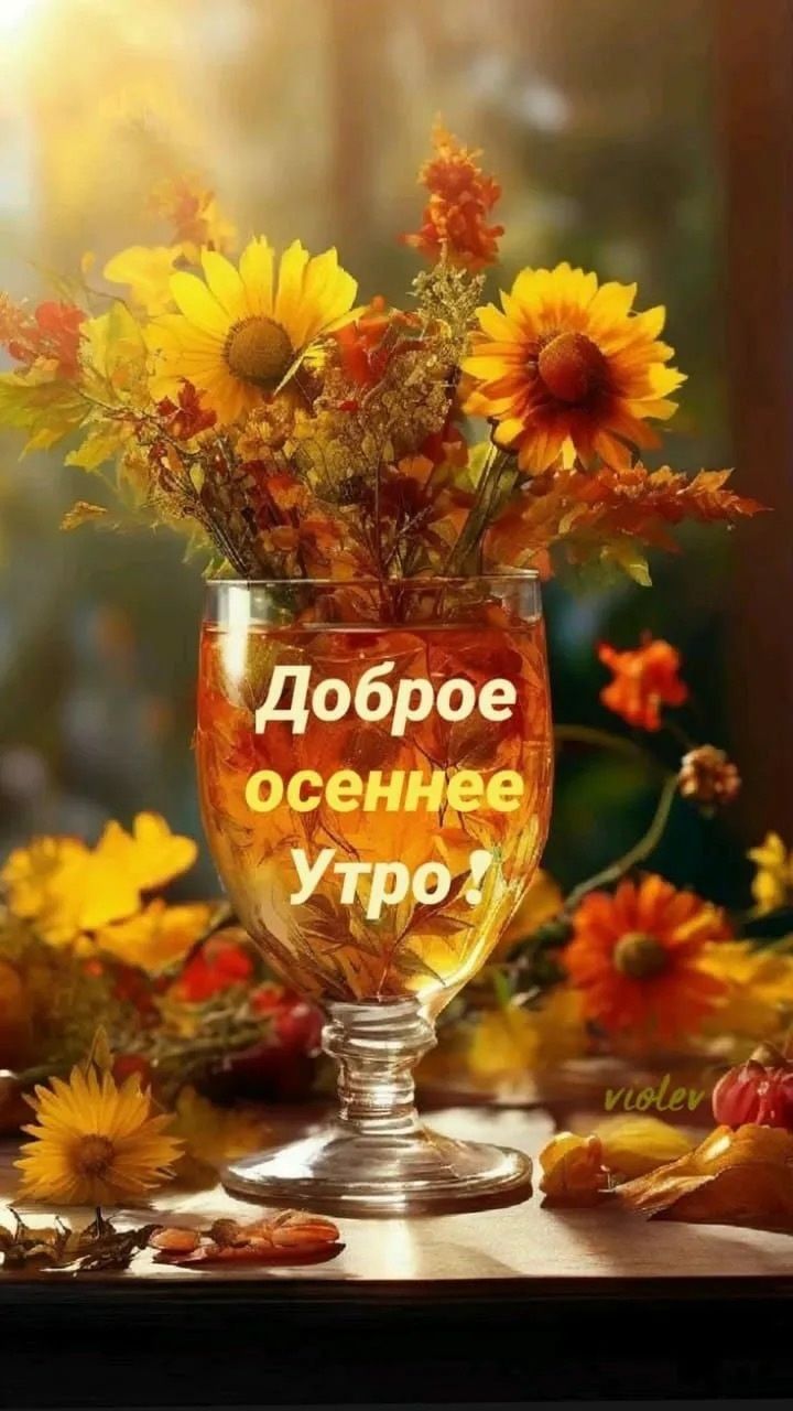 Доброе осеннее утро!