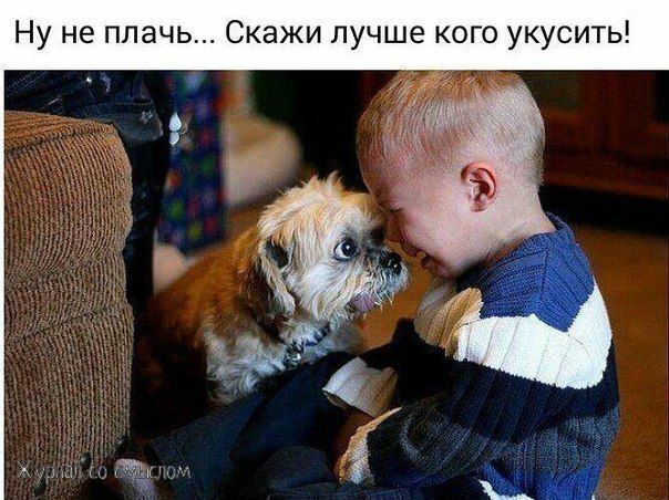 Ну не плачь... Скажи лучше кого укусить!