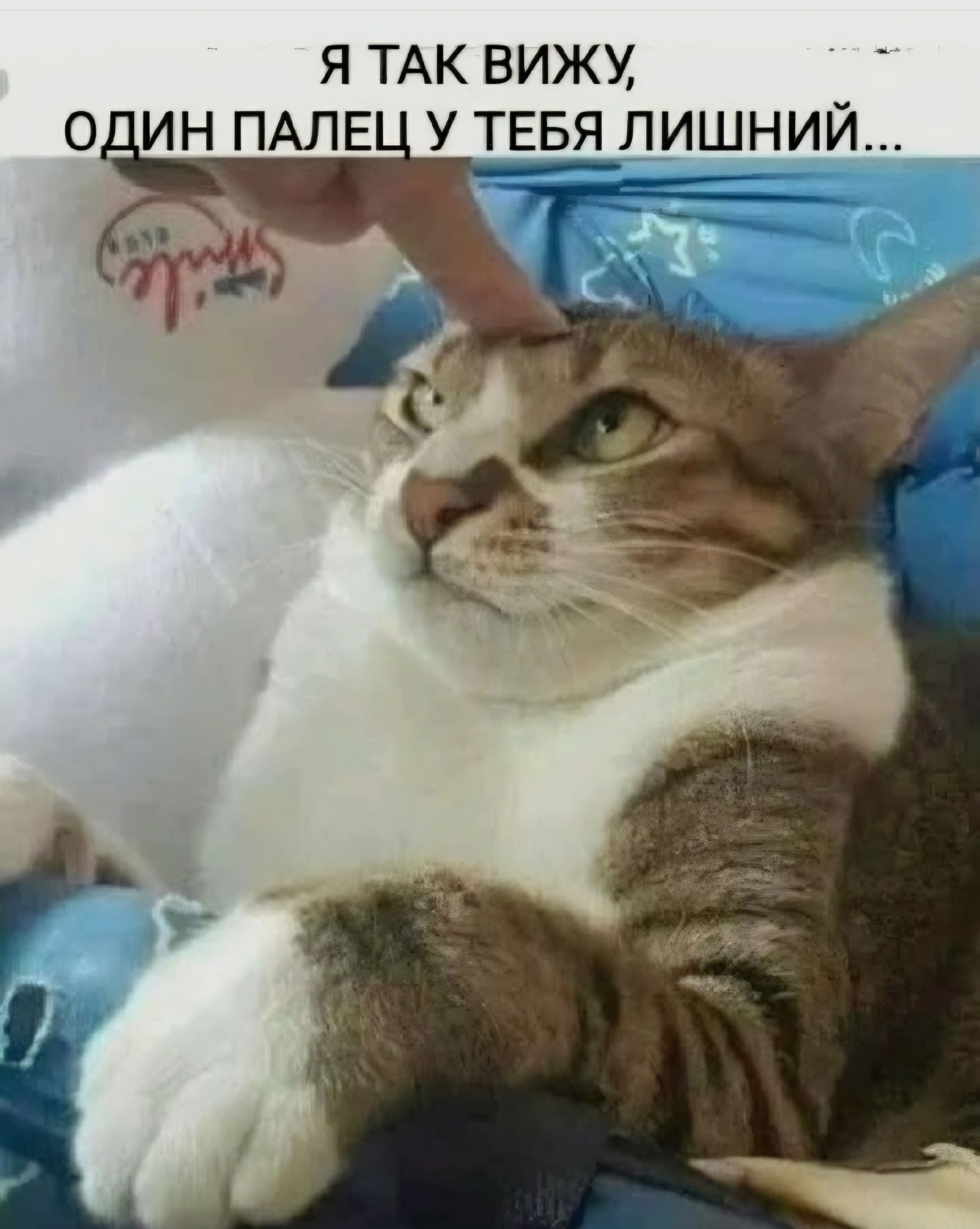 Я ТАК ВИЖУ, ОДИН ПАЛЕЦ У ТЕБЯ ЛИШНИЙ...