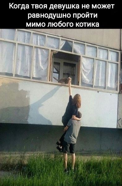 Когда твоя девушка не может равнодушно пройти мимо любого котика