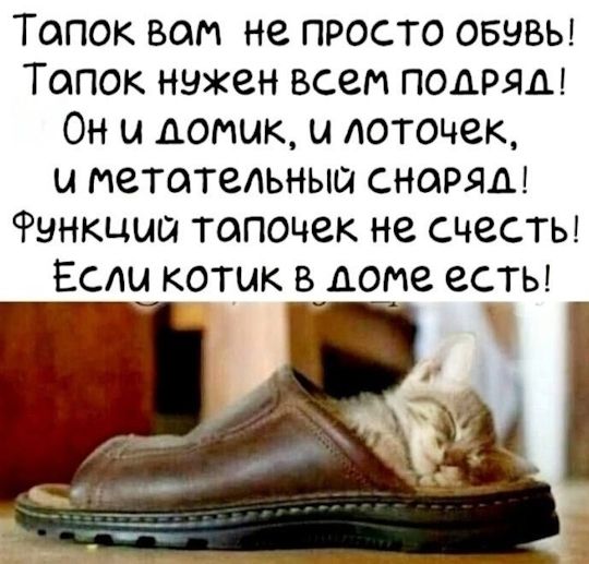 Тапок вам не просто обувь! Тапок нужен всем подряд! Он и домик, и лоточек, и металлический снаряд! Функций тапочек не счесть! Если котик в доме есть!