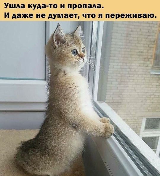Ушла куда-то и пропала. И даже не думает, что я переживаю.