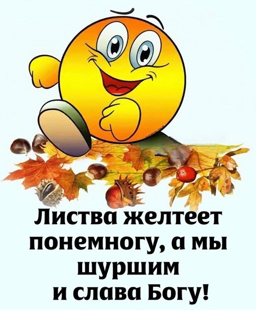 Листва желтеет понемногу, а мы шуршим и слава Богу!