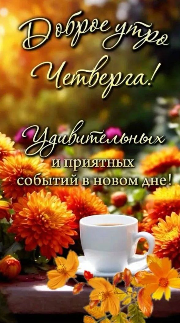 Доброе утро Четверга! Удивительных и приятных событий в новом дне!