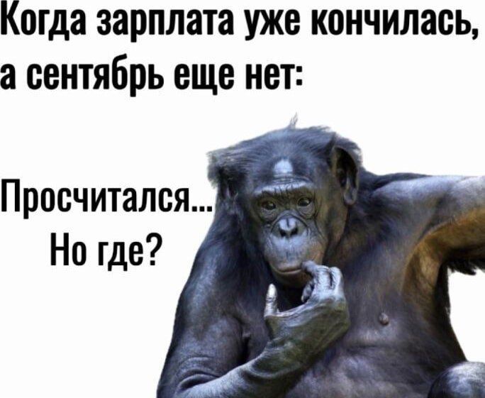 Когда зарплата уже кончилась, а сентября еще нет:
Просчитался...
Но где?