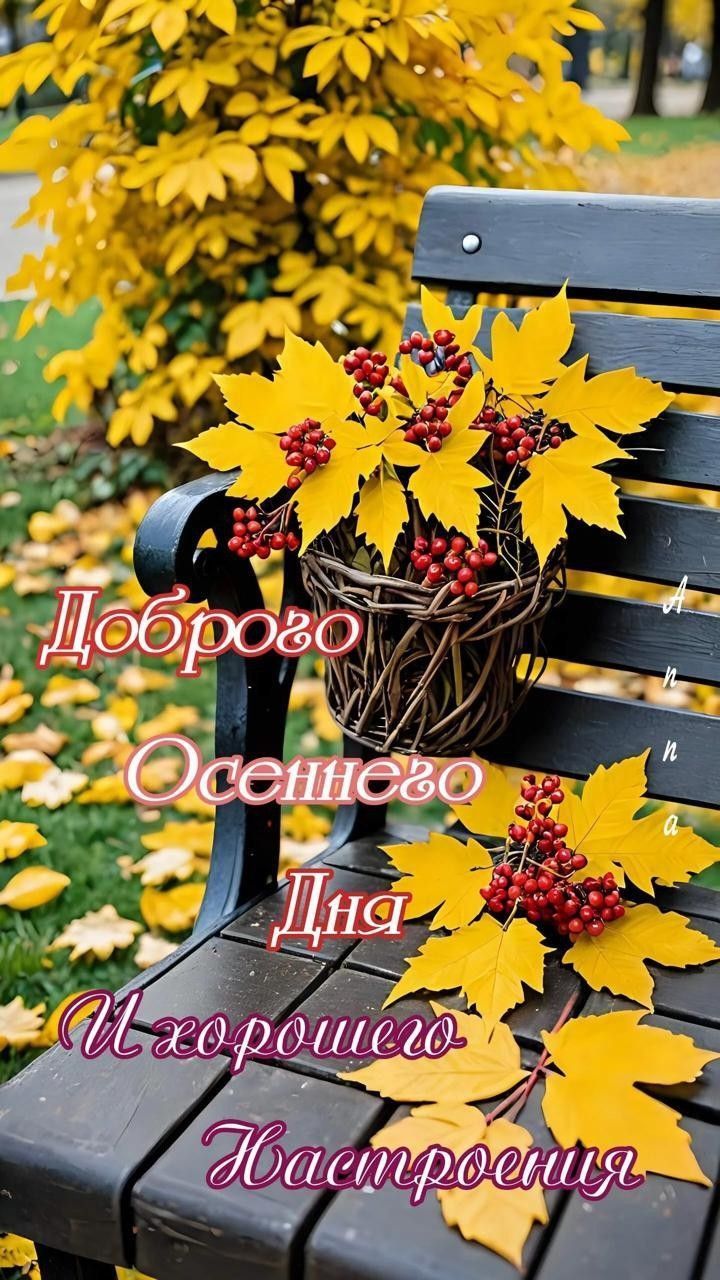 Доброого Осеннего Дня И хорошего Настроения