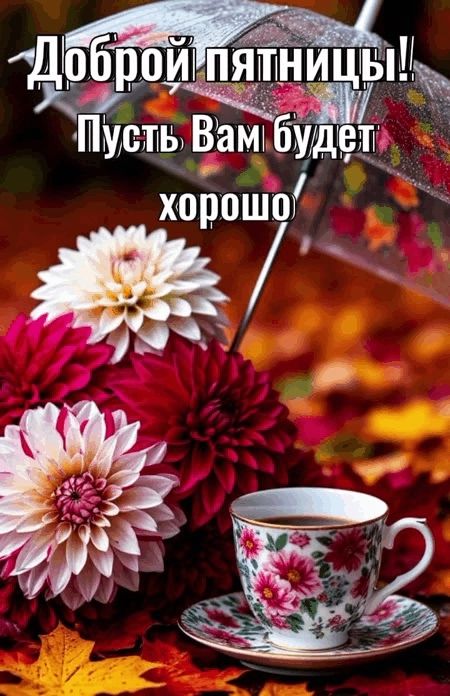 Доброй пятницы!! Пусть Вам будет хорошо