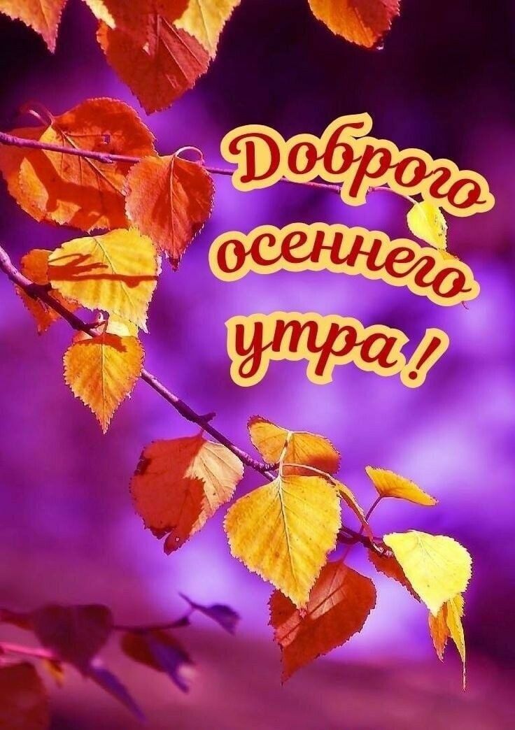 Доброего осеннего утра!