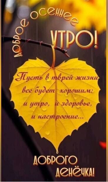 Доброе осеннее УТРО! Пусть в твёрдой жизни все будет хорошим; и утро, и здоровье, и настроение... ДОБРОГО ДЕНЁЧКА!