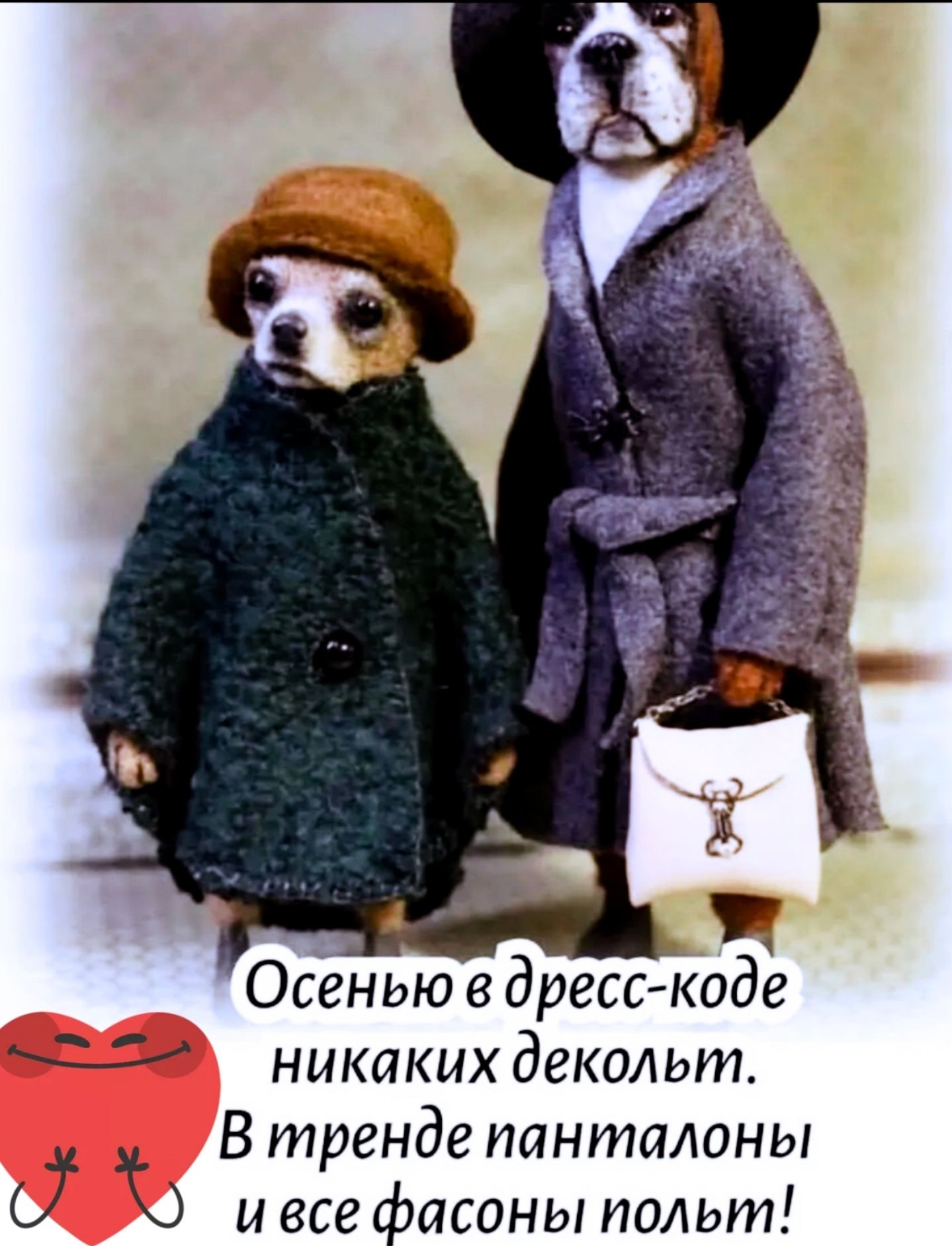 Осенью в дресскоде никаких декольт. В тренде панталоны и все фасоны пыльт!