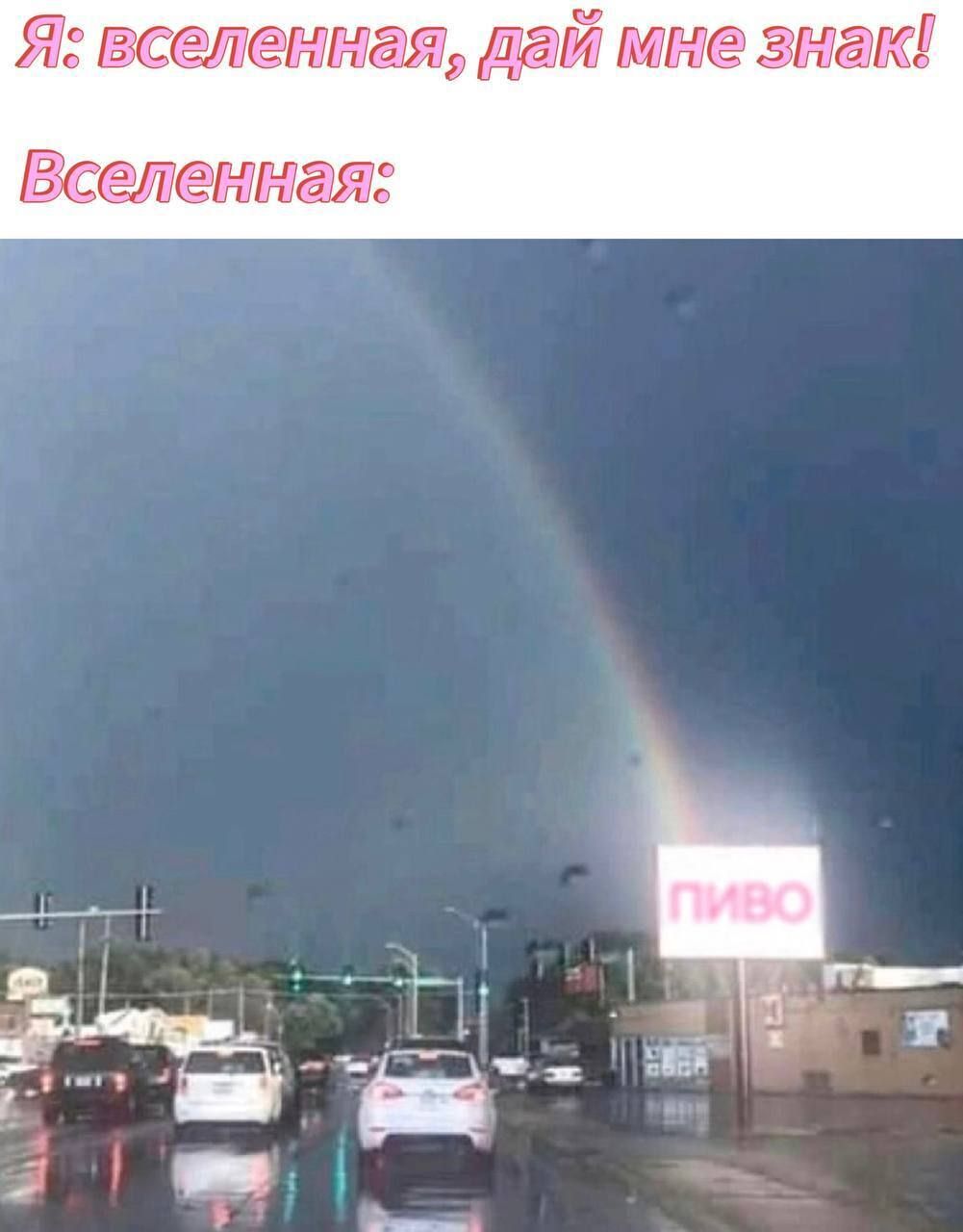 Я: вселенная, дай мне знак! Вселенная: ПИВО