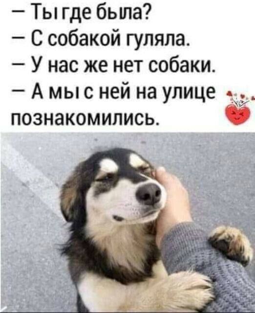 – Ты где была?
– С собакой гуляла.
– У нас же нет собаки.
– А мы с ней на улице познакомились.