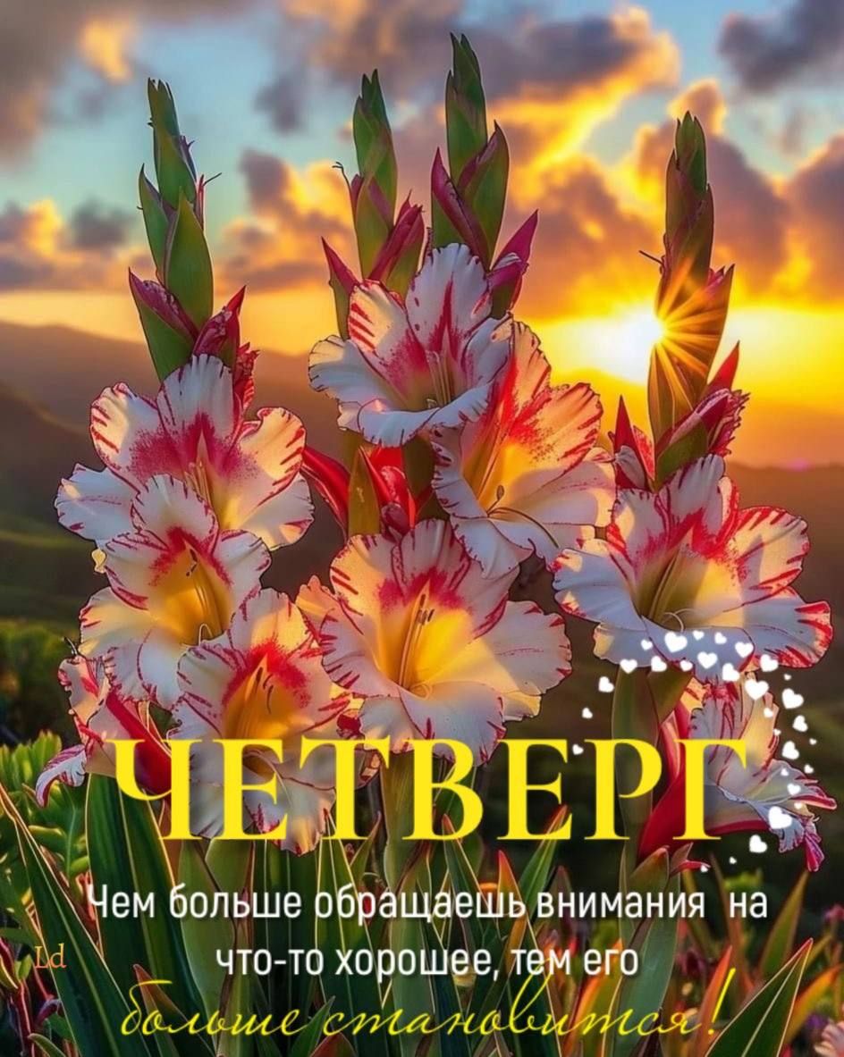 ЧЕТВЕРГ
Чем больше обращаешь внимания на что-то хорошее, тем его больше становится!