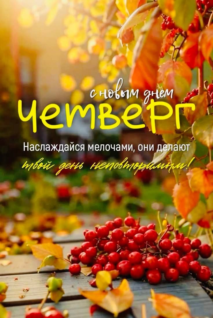 с новым днем ЧЕТВЕРГ
Наслаждайся мелочами, они делают твой день неповторимым!