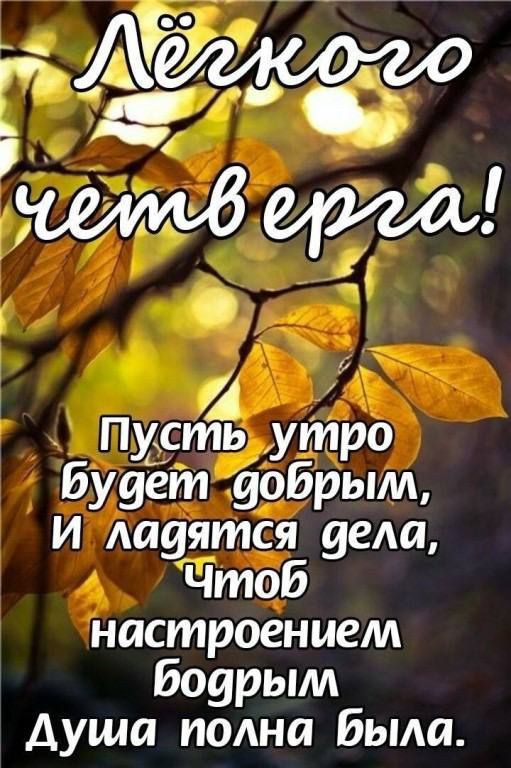 Лёгкого четверга!
Пусть утро будет добрым,
И ладятся дела,
Чтобы настроением бодрым
Душа полна была.