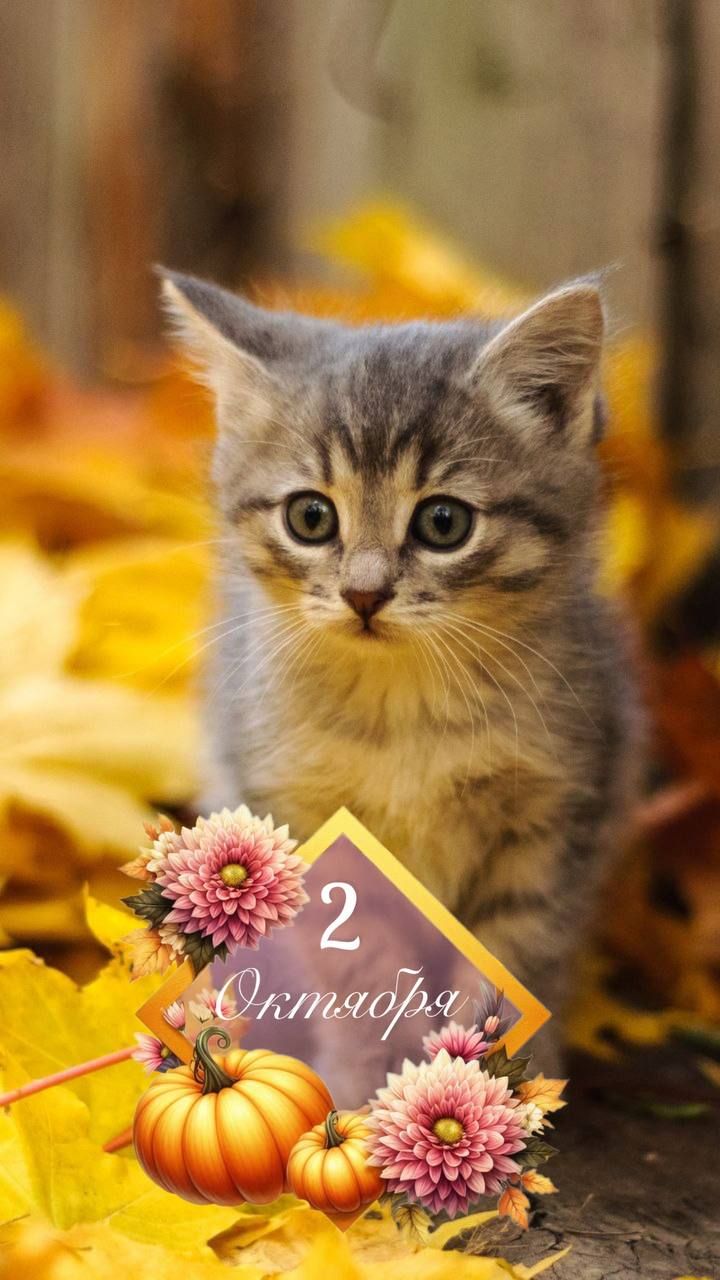 2 Октября