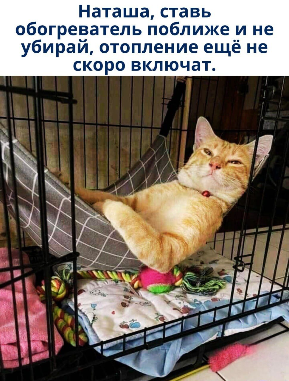 Наташа, ставь обогреватель поближе и не убирай, отопление ещё не скоро включат.