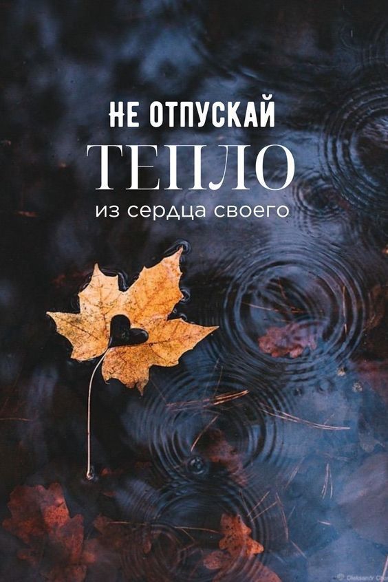 НЕ ОТПУСКАЙ ТЕПЛО из сердца своего