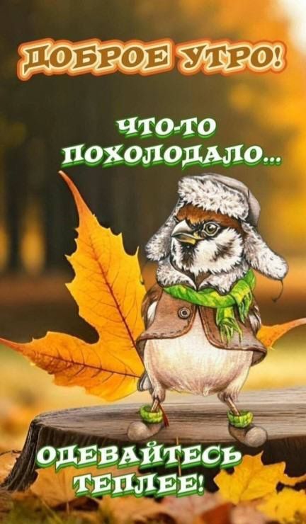 ДОБРОЕ УТРО! ЧТО-ТО ПОХОЛОДАЛО... ОДЕВАЙТЕСЬ ТЕПЛЕЕ!