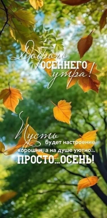 Доброе ОСЕННЕГО утра! Пусть будет настроение хорошим, а на душе уютно... ПРОСТО...Осень!