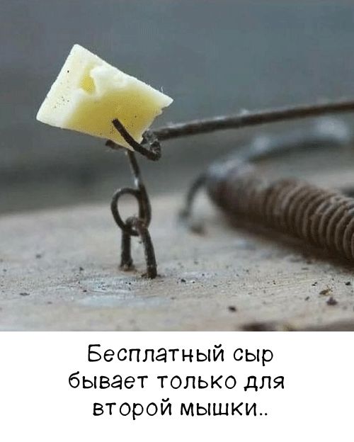 Бесплатный сыр бывает только для второй мышки..