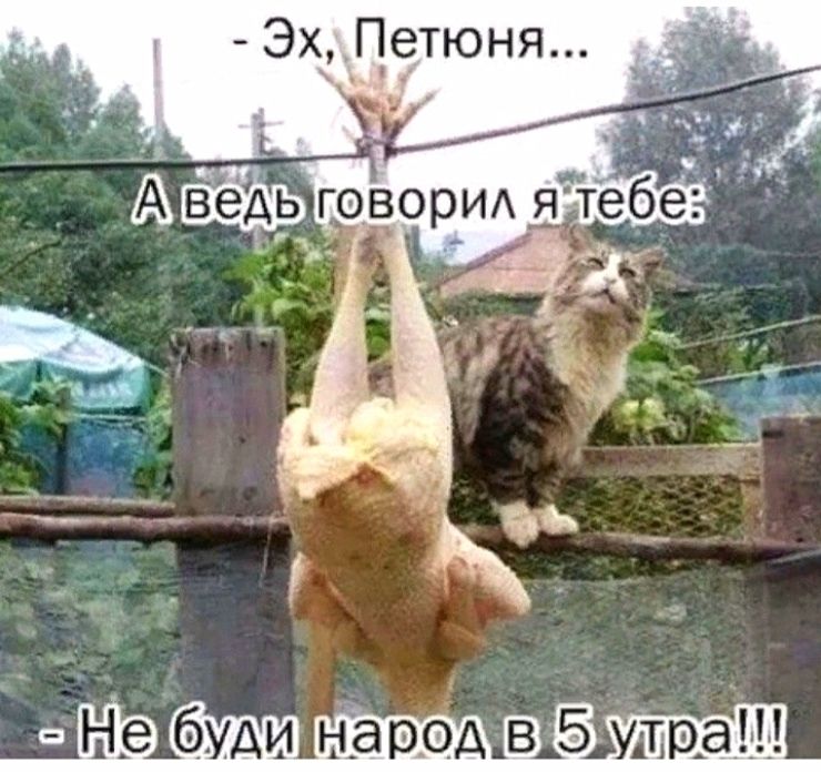 - Эх, Петюня...
- А ведь говорил я тебе: Не буди народ в 5 утра!!!