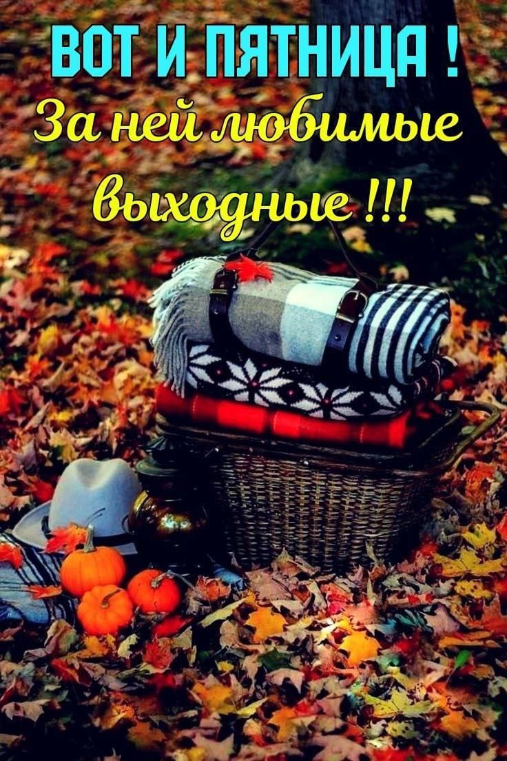 ВОТ И ПЯТНИЦА ! За ней любимые выходные !!!