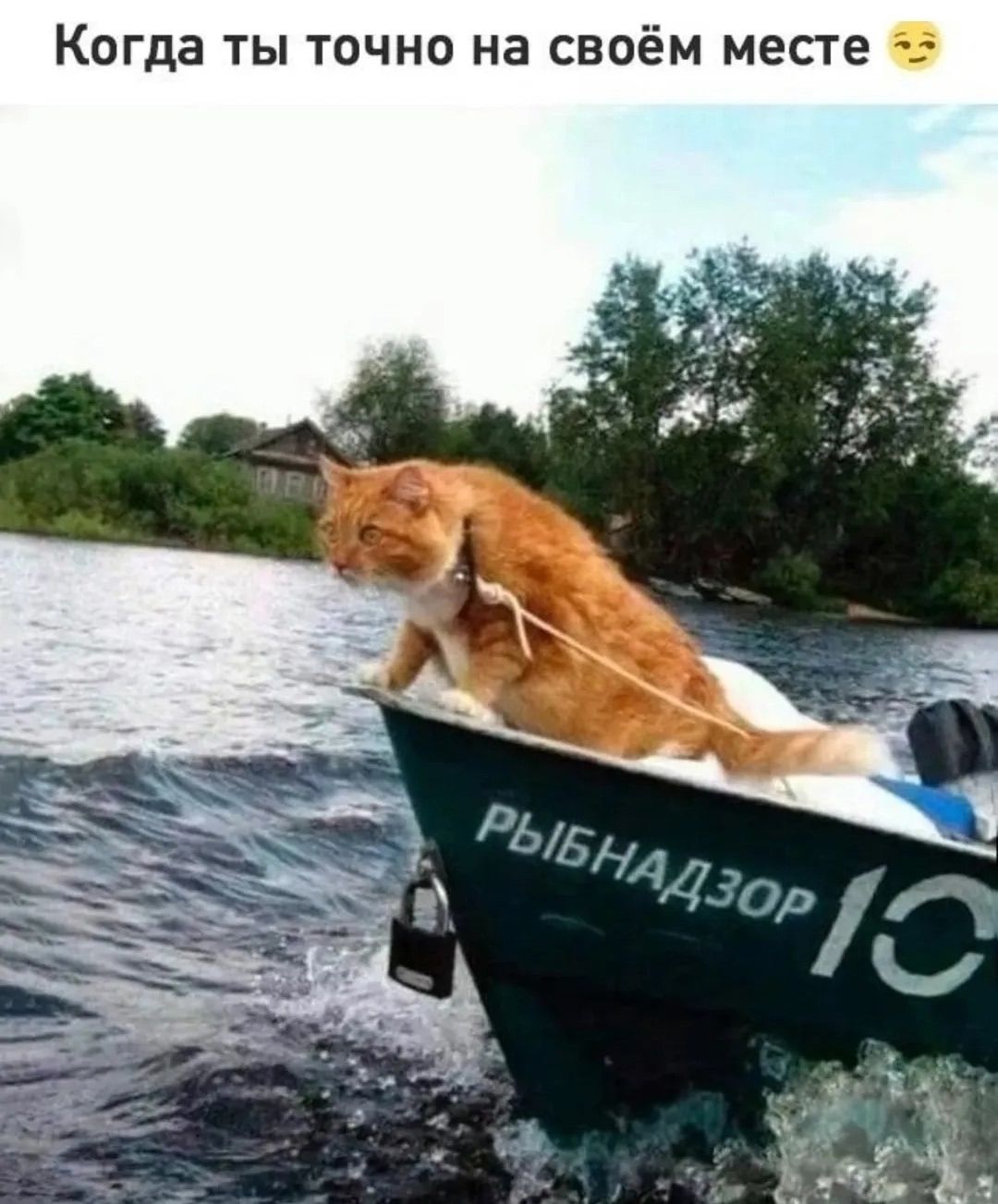 Когда ты точно на своём месте