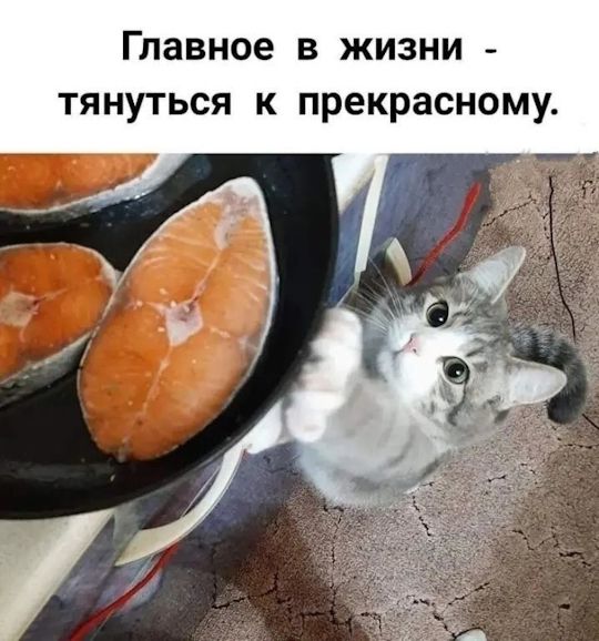 Главное в жизни - тянуться к прекрасному.