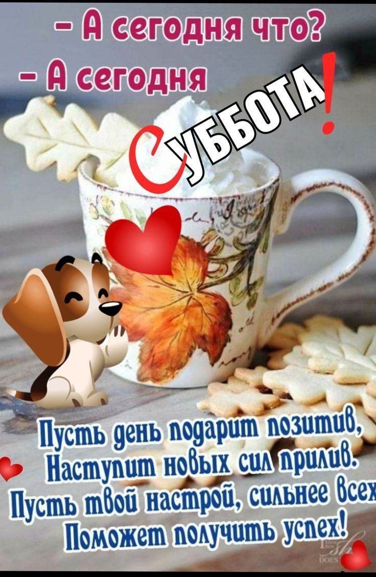 – А сегодня что?  – А сегодня Суббота!
Пусть день подарит позитив,
Наступит новых сил прилив.
Пусть твой настрой, сильнее всех,
Поможет получить успех!