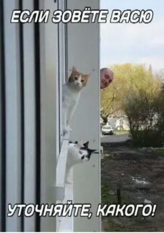 ЕСЛИ ЗОВЁТЕ ВАСЮ УТОЧНЯЙТЕ, КАКОГО!