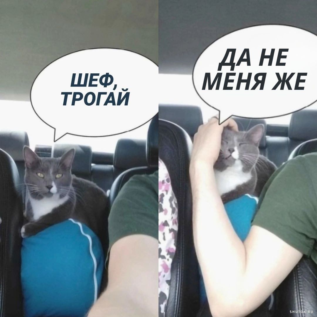 ШЕФ, ТРОГАЙ
ДА НЕ МЕНЯ ЖЕ