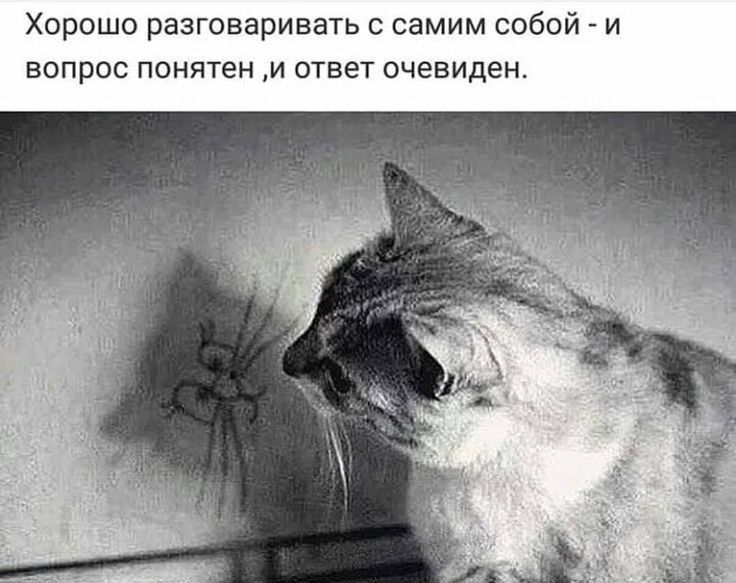 Хорошо разговаривать с самим собой - и вопрос понятен, и ответ очевиден.