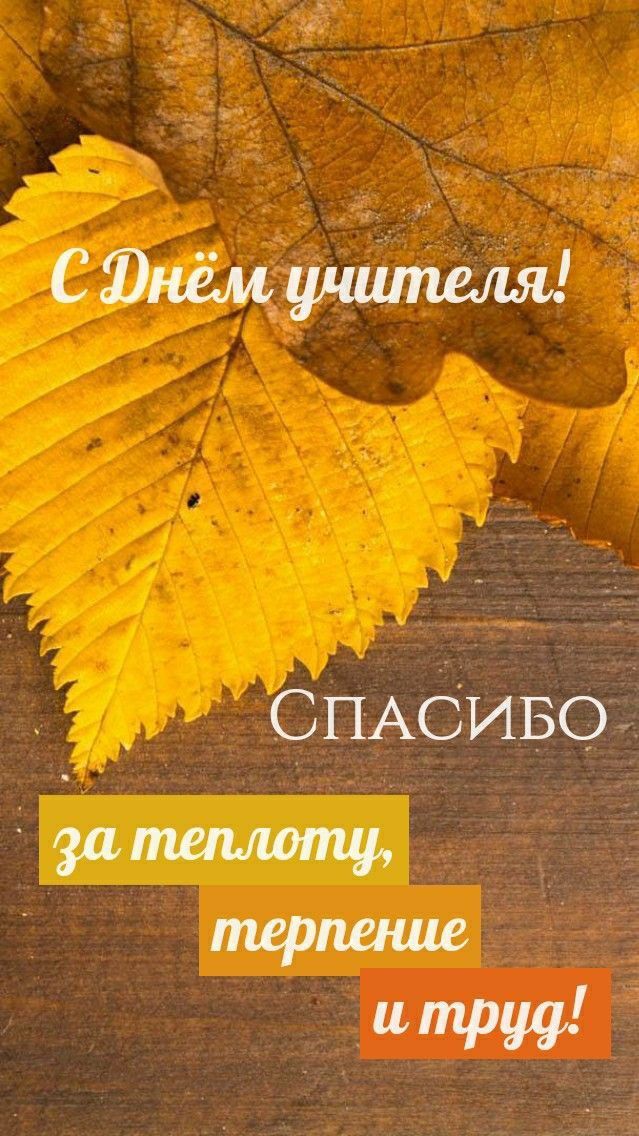 С Днём учителя! СПАСИБО за теплоту, терпение и труд!