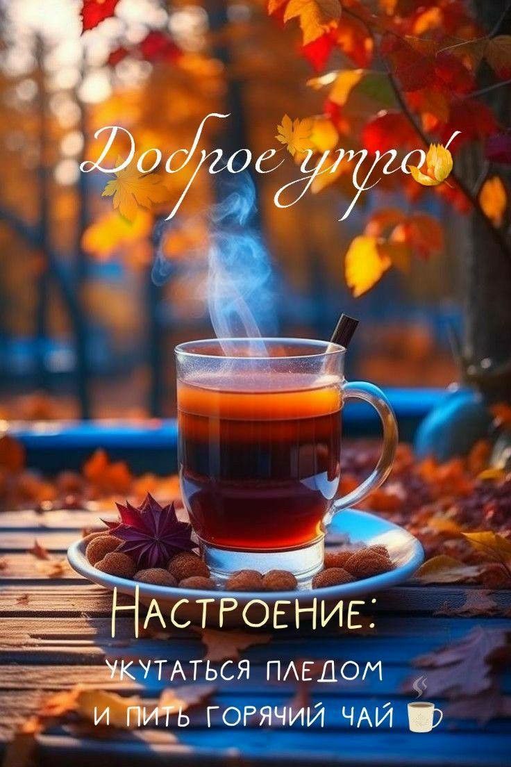 Доброе утро! Настроение: укутаться пледом и пить горячий чай.