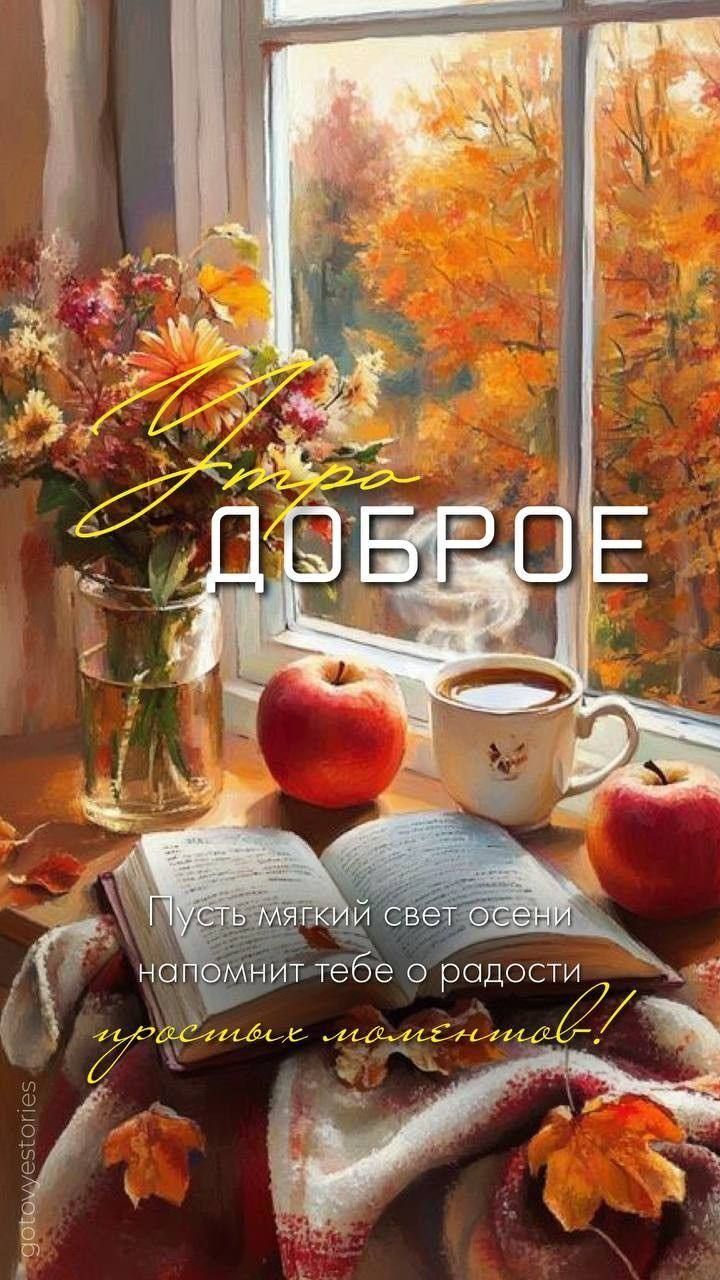 Утро ДОБРОЕ
Пусть мягкий свет осени напомнит тебе о радости простых моментов!