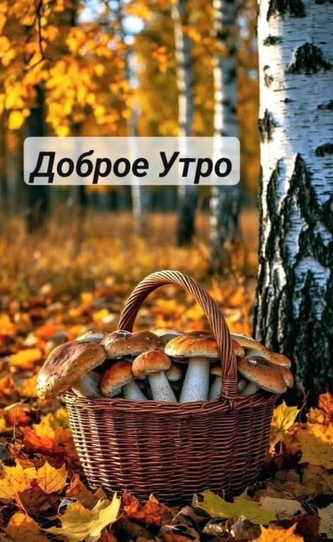Доброе Утро