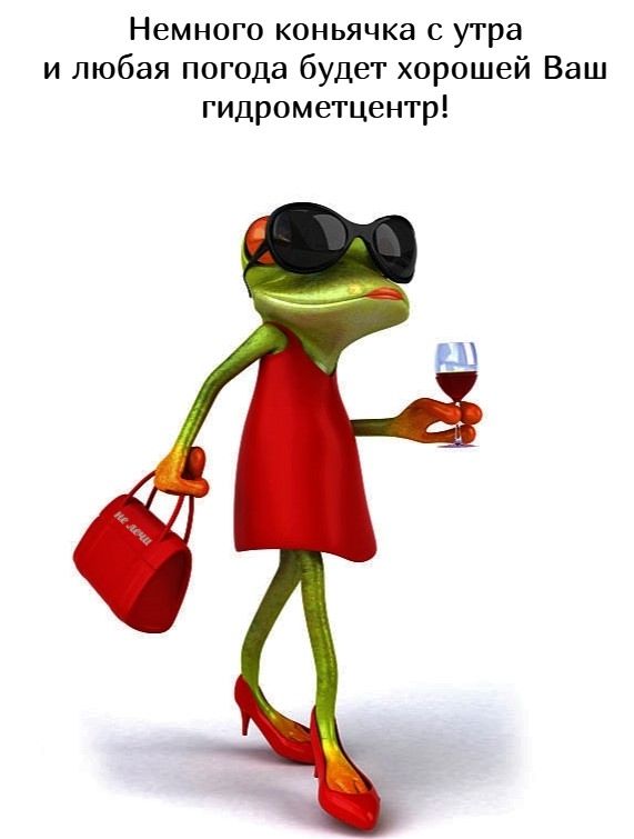 Немного коньячка с утра и любая погода будет хорошей Ваш гидрометцентр!