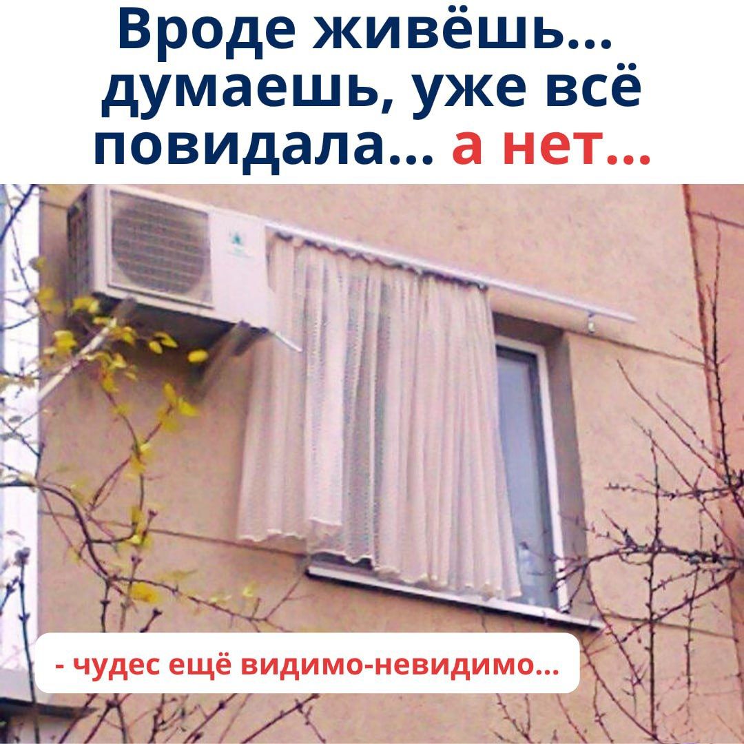 Вроде живёшь... думаешь, уже всё повидала... а нет... - чудес ещё видимо-невидимо...
