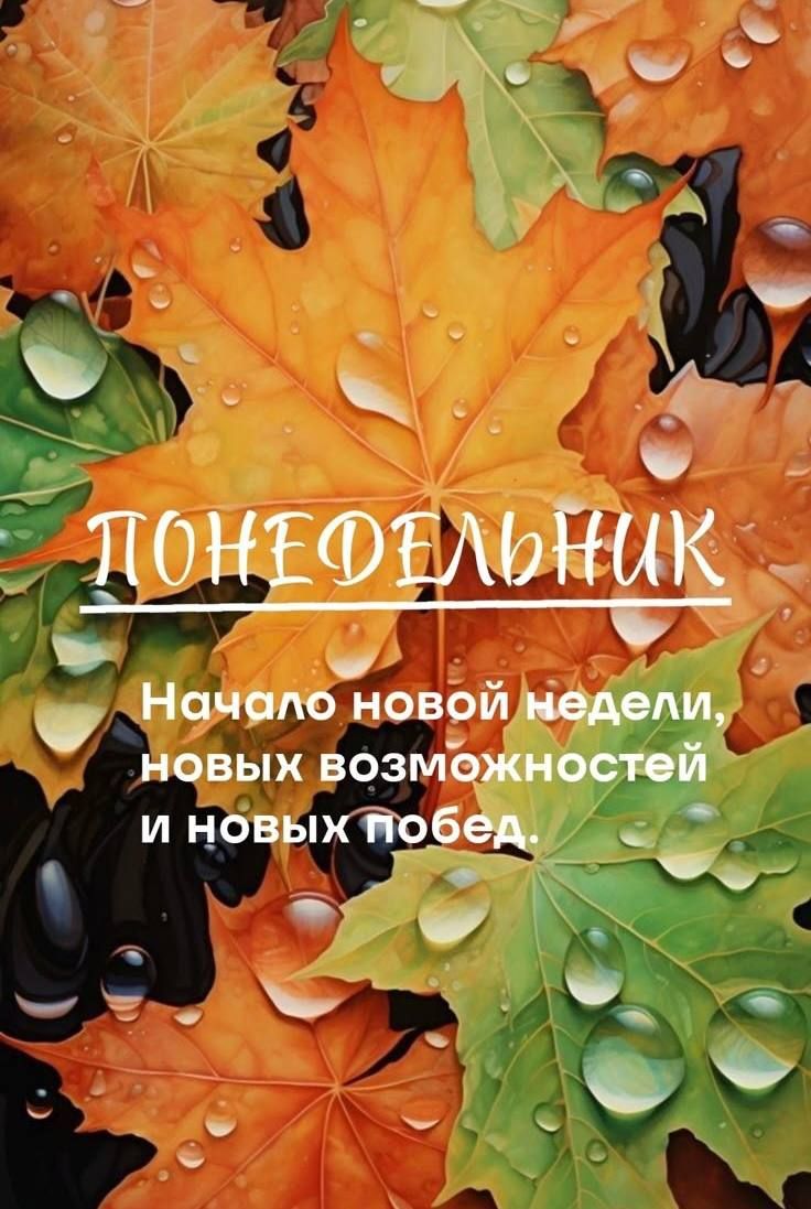 ПОНЕДЕЛЬНИК
Начало новой недели, новых возможностей и новых побед.
