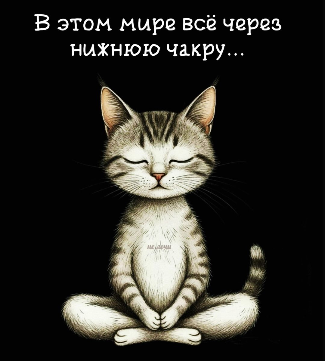 В этом мире всё через нижнюю чакру...