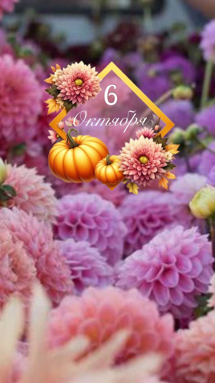 6 Октября