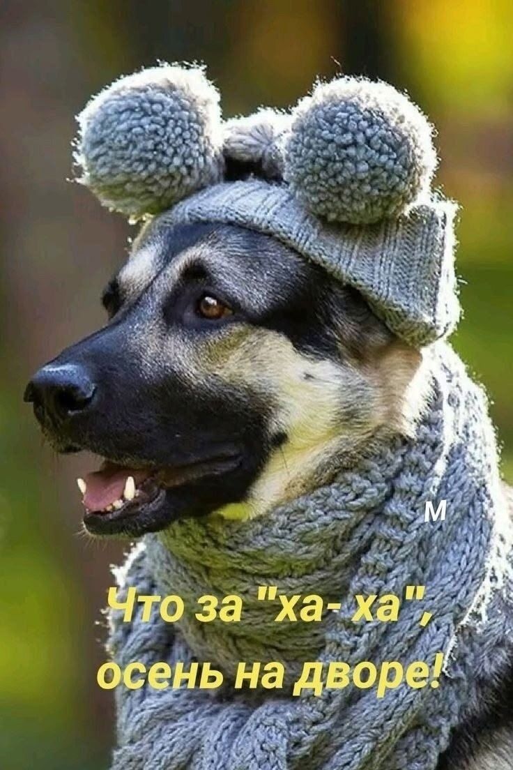 Что за 