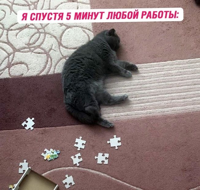 Я СПУСТЯ 5 МИНУТ ЛЮБОЙ РАБОТЫ:
