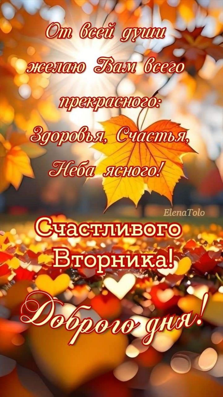 От всей души желаю Вам всего прекрасного: Здоровья, Счастья, Неба ясного! Счастливого Вторника! Добrogo дня!