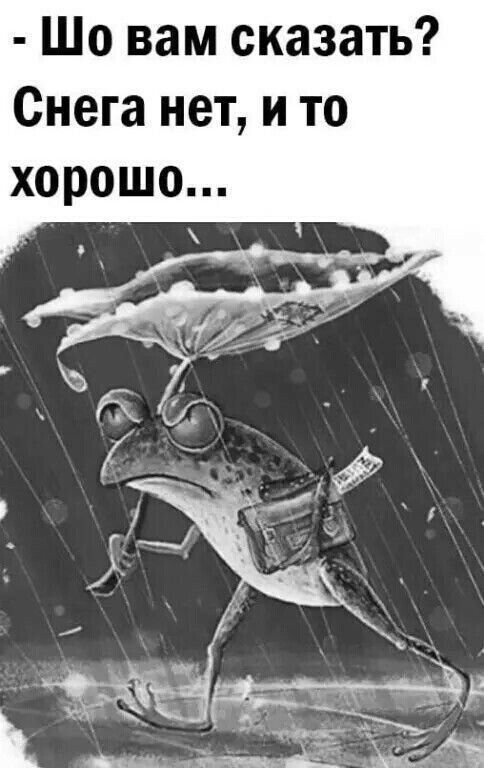 - Шо вам сказать? Снега нет, и то хорошо...