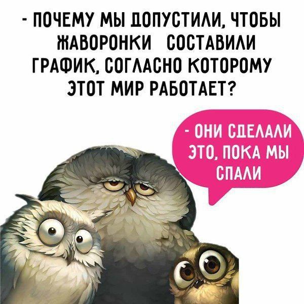 - Почему мы допустили, чтобы жаворонки составили график, согласно которому этот мир работает? - Они сделали это, пока мы спали.