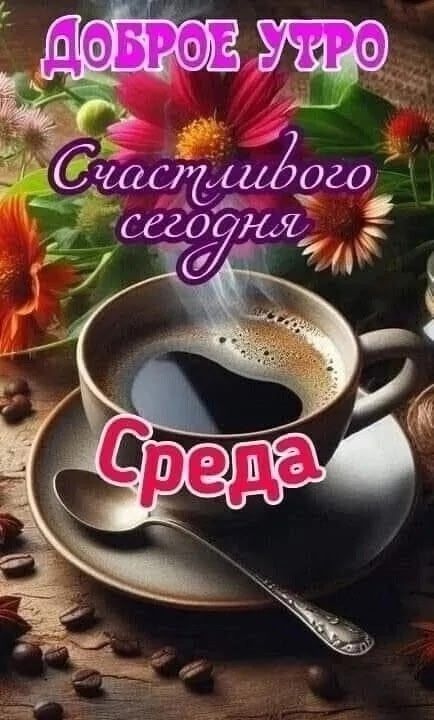 ДОБРОЕ УТРО
Счастливого сегодня
Среда